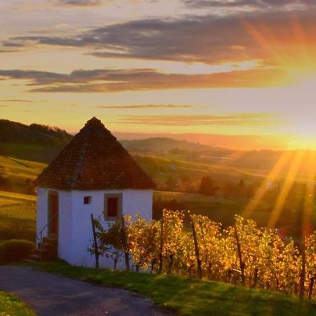 Ferienwohnung Vogesenblick Мюлльгайм Екстер'єр фото