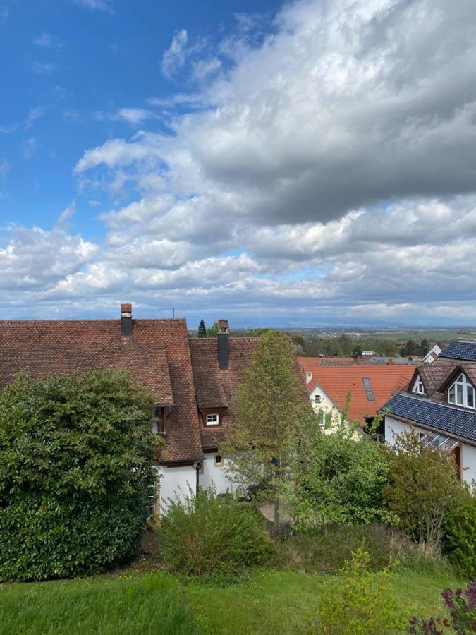 Ferienwohnung Vogesenblick Мюлльгайм Екстер'єр фото